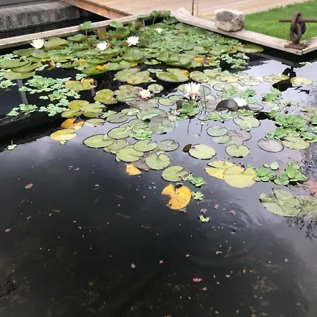 Nocleg ze śniadaniem Morpheus Amsterdam