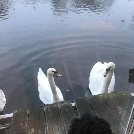 Bed & Breakfast Morpheus Amsterdam