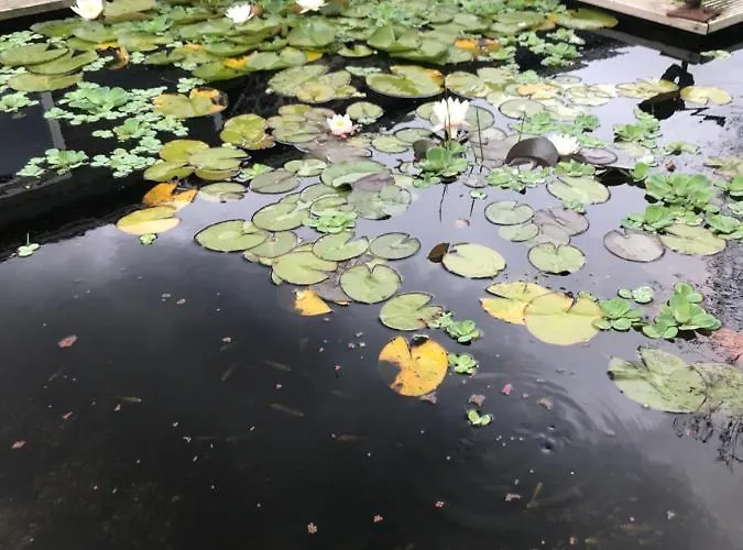 住宿加早餐酒店 Morpheus 阿姆斯特丹