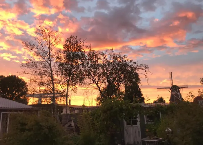 Morpheus 阿姆斯特丹