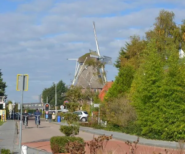 Morpheus 住宿加早餐酒店 4*