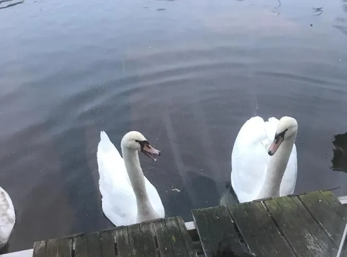 ベッド・アンド・ブレックファスト Morpheus アムステルダム