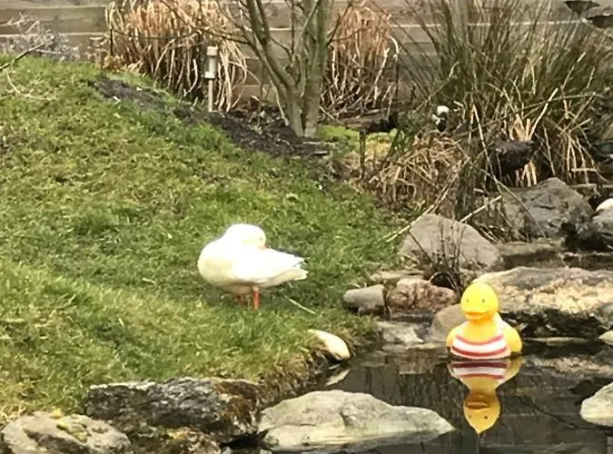 Morpheus Амстердам